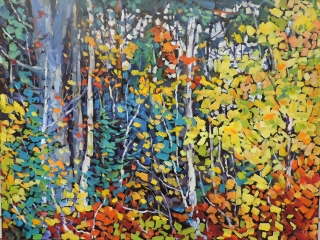 Woodland Mystery by Lucy Manley