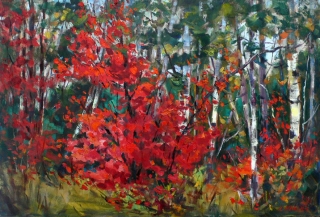 Red Maple by Lucy Manley