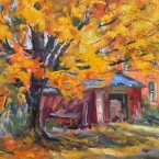 Maple Splendour by Lucy Manley