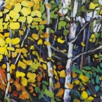 Algonquin Birches by Lucy Manley
