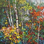 Birch Dance by Lucy Manley