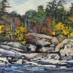 Burleigh Falls in November by Lucy Manley