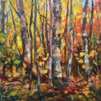Backlit Medley by Lucy Manley