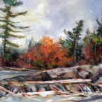 Burleigh Falls by Lucy Manley