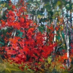 Red Maple by Lucy Manley