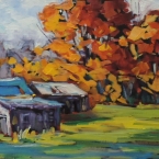 Maple Bush