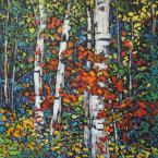 Birches & Maple Maze