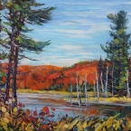 View at Beaver Dam