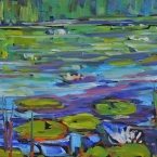 Sabine's Waterlilies