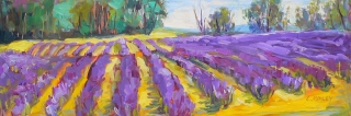 Forever Lavender by Lucy Manley