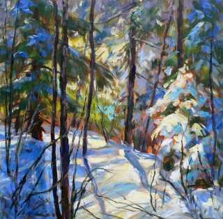 Back Lit Snowy Spruce by Lucy Manley