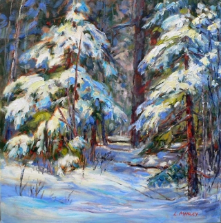 Snow Covered Spruce by Lucy Manley