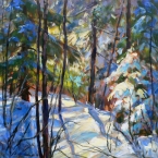 Back Lit Snowy Spruce by Lucy Manley
