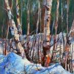 Sunlit Birches by Lucy Manley